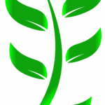 leaf-7259719_1920